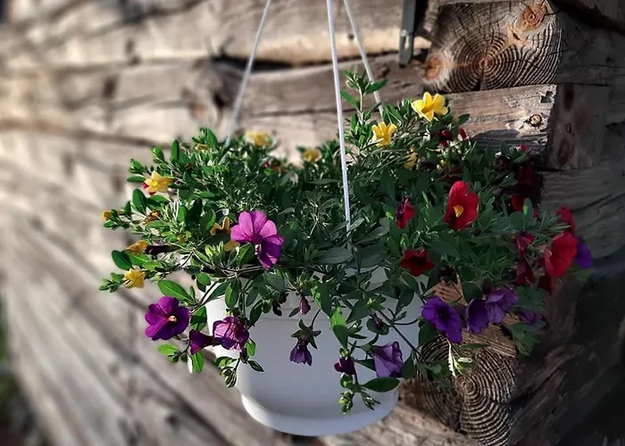 Летний дом Sepa Talu