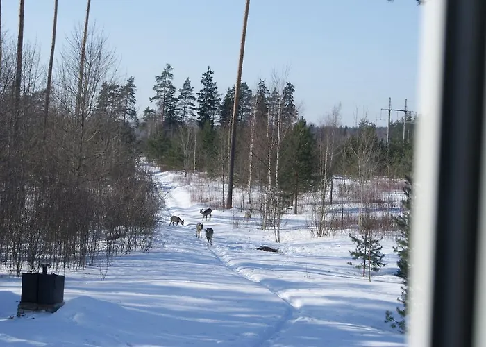 Sepa Talu Casa rural Aakre